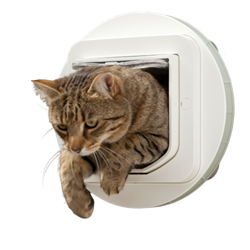 Katzentüre einbauen Kosten Schweiz