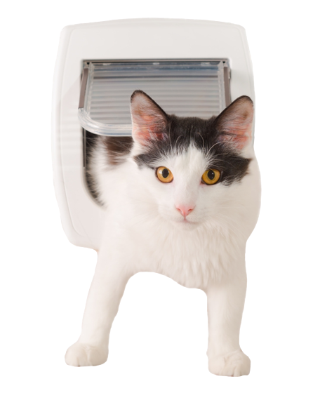 Katzentüre in Holz- oder Metalltüre einbauen lassen