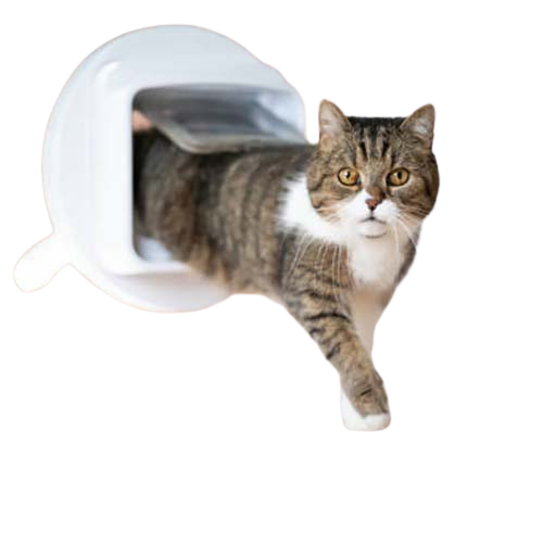 Katzenklappe in der Schweiz vom Profi einbauen lassen