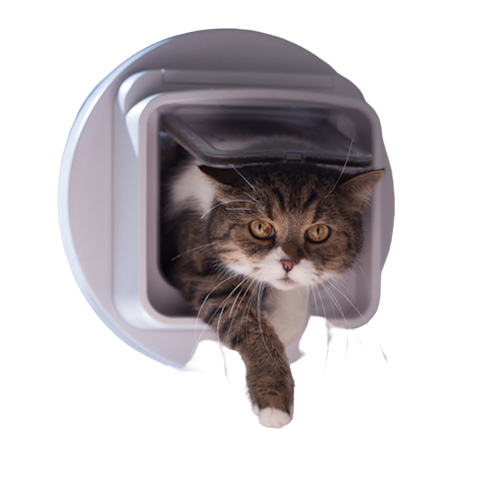 katzentuere fenster glas einbauen lassen Katzentüre in Fenster oder Glastüre einbauen